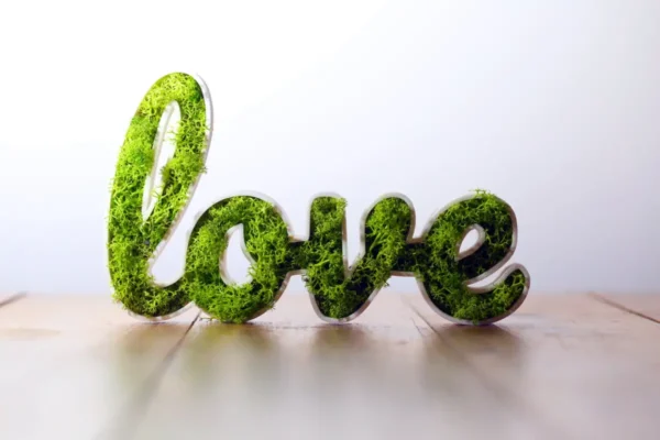 Love-vegetal-pour-mur-ou-porte-600x400